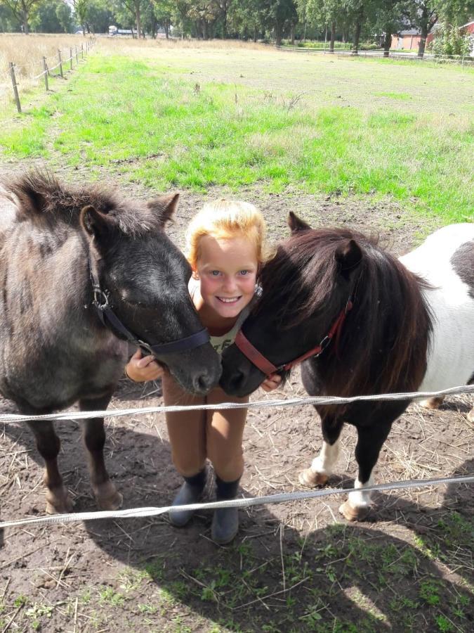 לינה וארוחת בוקר Onstwedde Pipowagen Lidewei Groningen Westerwolde Unieke Ligging Met Eigen Tuin En Vrij Uitzicht Over Veld Naar Natuurgebied מראה חיצוני תמונה