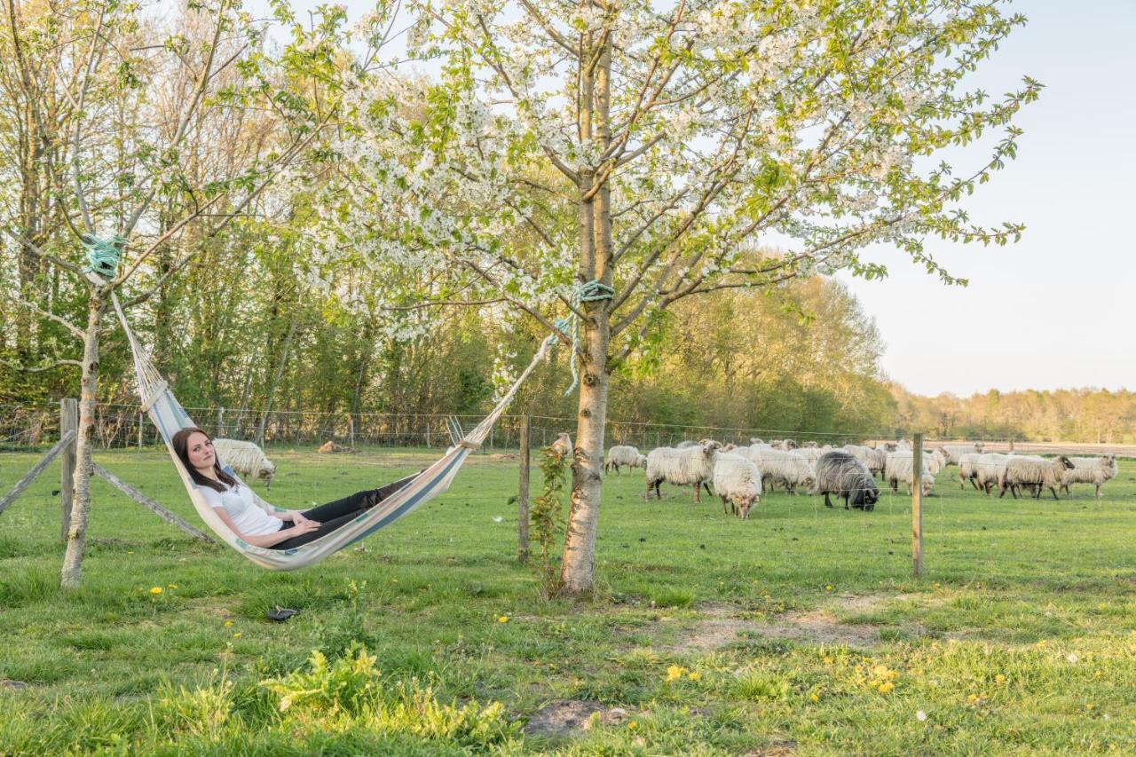 לינה וארוחת בוקר Onstwedde Pipowagen Lidewei Groningen Westerwolde Unieke Ligging Met Eigen Tuin En Vrij Uitzicht Over Veld Naar Natuurgebied מראה חיצוני תמונה